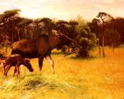 弗里德里克 威廉 库纳特 : Moose With Her Calf In A Landscape